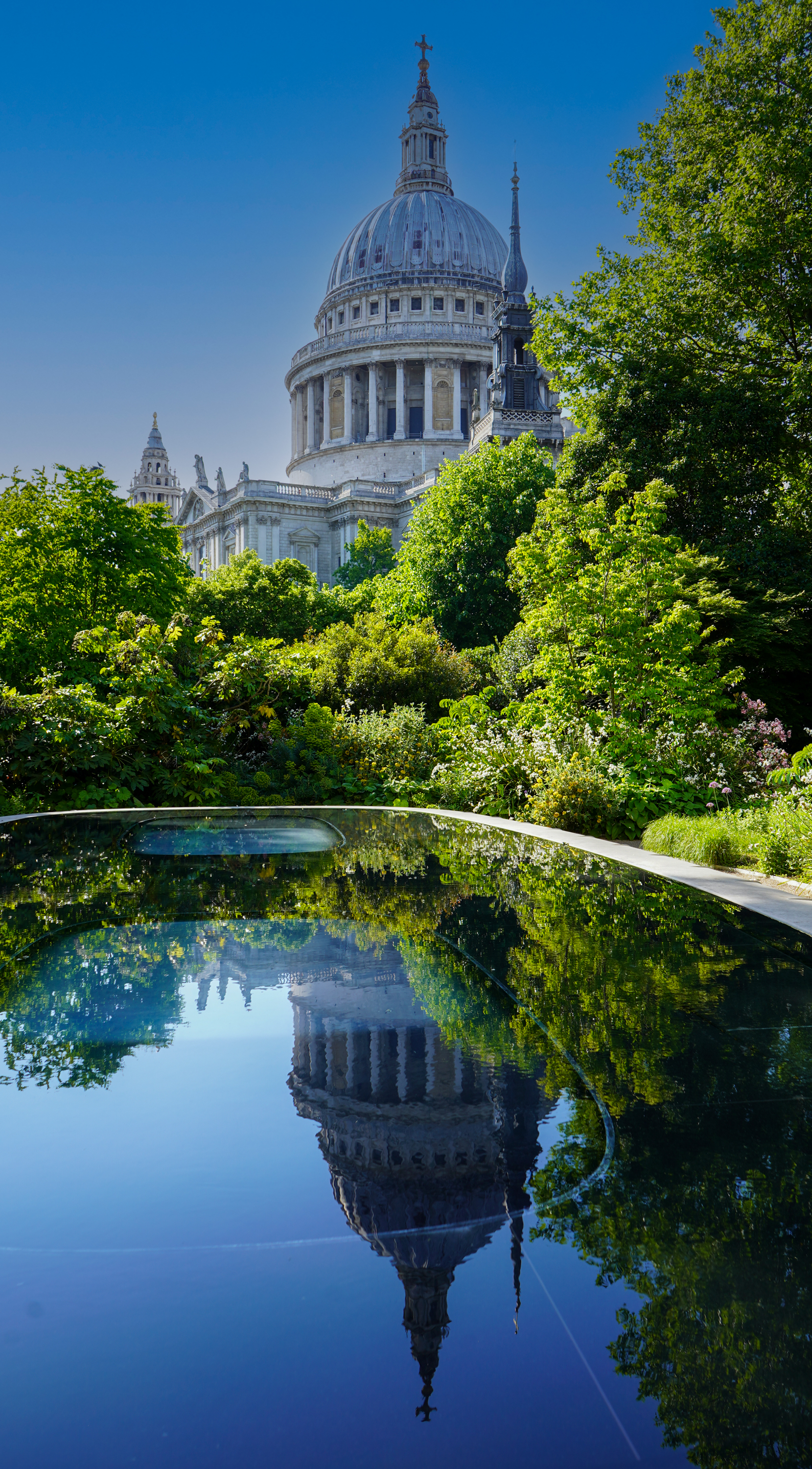 Where the City Pauses to Reflect  - Samantha Innard